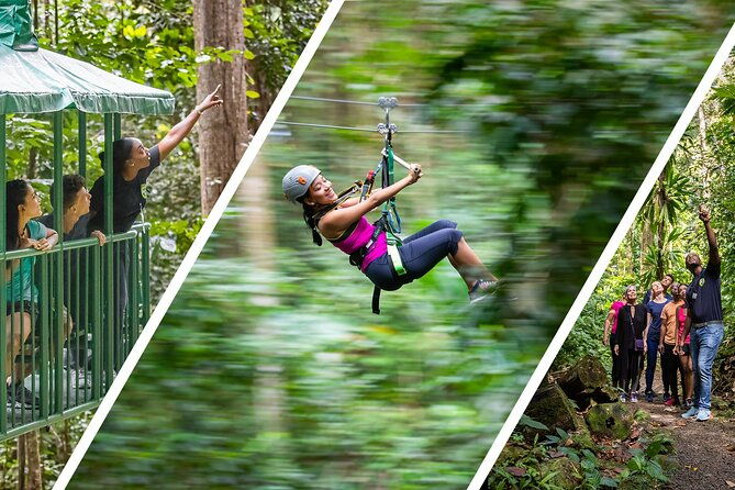 st-lucia-zip-line-aerial-tram-and-hiking-tour-ultimate-3