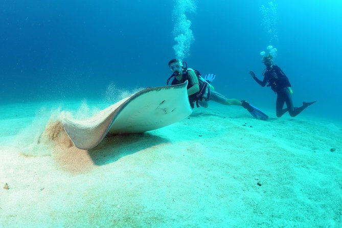 st-maarten-scuba-diving-for-certified-divers