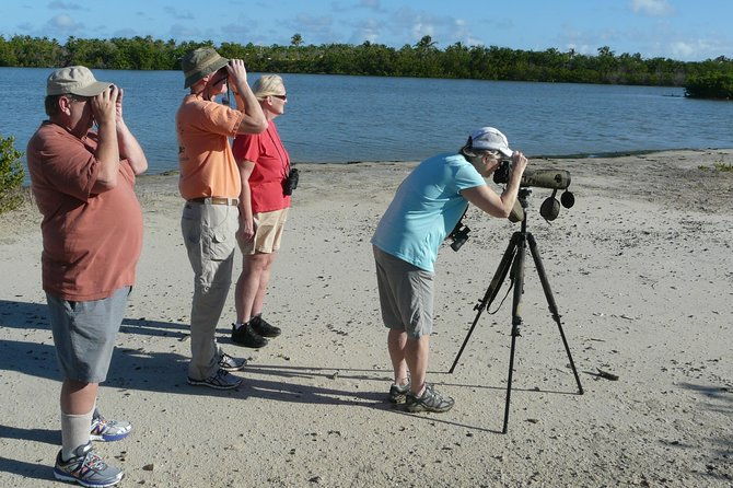 st-martin-st-maarten-small-group-birding-tour-bird-watching-tour