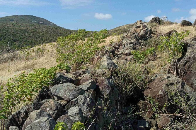 st-martin-st-maarten-small-group-coastal-hike-swim-tour