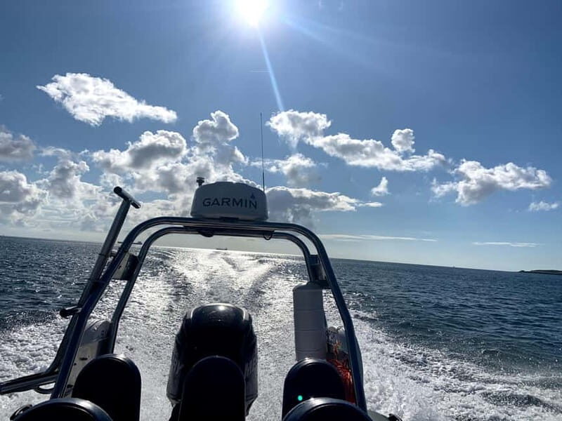 St Mawes: Two hour RIB Tour - What You Can Expect Onboard