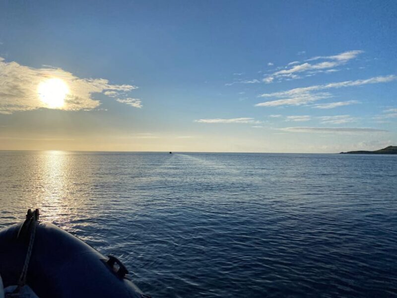 St Mawes: Two hour RIB Tour - Pricing and Value