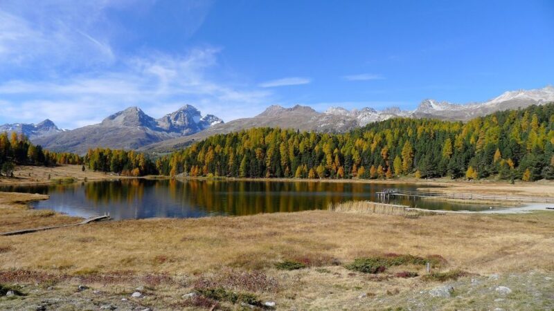 St. Moritz: Private Guided Town Highlights Walking Tour - An Authentic St. Moritz Experience in Just Two Hours