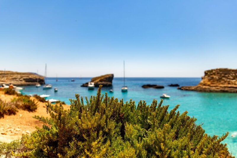 St Paul's Bay: Comino, Blue Lagoon, Gozo, & Caves Boat Tour - The Water Activities
