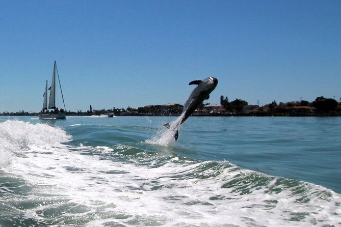 St. Pete Beach Dolphin Racer Adventure - Key Points