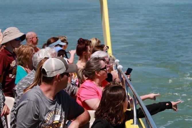 St. Pete Beach Dolphin Racer Adventure - The Practical Details