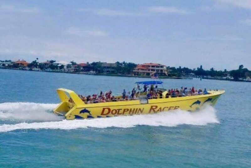 St. Pete Beach: Dolphin Racer Cruise by Speedboat - An In-Depth Look at the Dolphin Racer Experience
