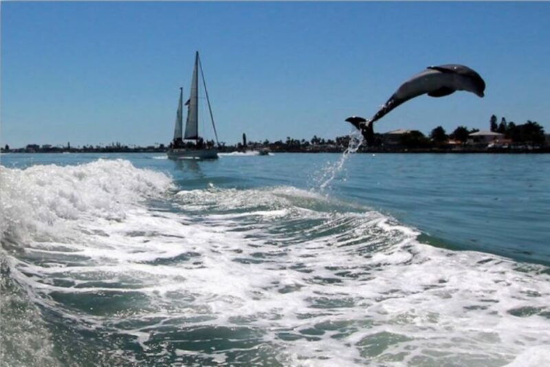 st-pete-beach-dolphin-racer-cruise-by-speedboat