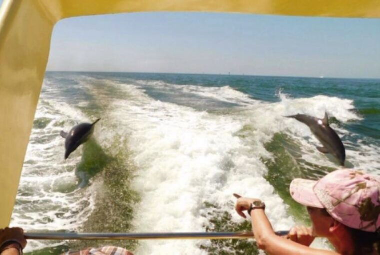 st-pete-beach-dolphin-racer-cruise-by-speedboat