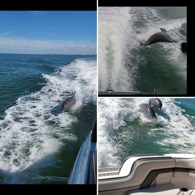 st-pete-beach-private-boat-tour-for-watersports-snorkeling