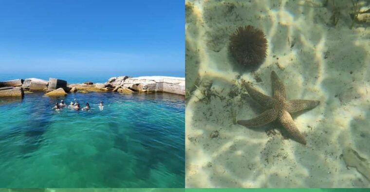 st-pete-beach-private-boat-tour-for-watersports-snorkeling