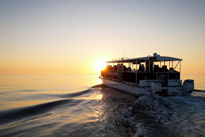 st-pete-dolphin-watching-and-island-sunset-cruise
