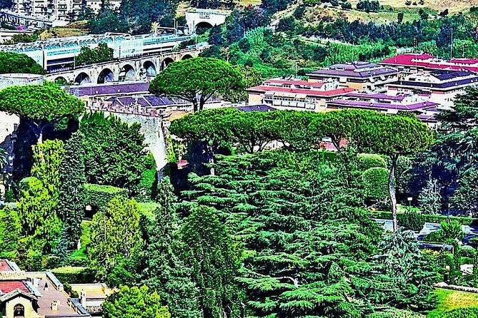 st-peters-basilica-and-papal-grottoes-guided-tour
