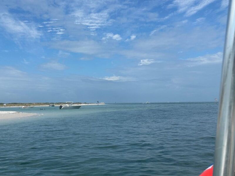 st-petersburg-fl-3-hour-islands-hopping-eco-tour