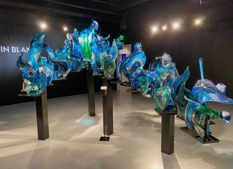 St. Petersburg, FL: Imagine Museum Admission Ticket - FAQs