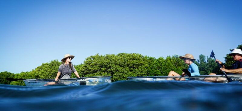 st-petersburg-fl-weedon-island-kayak-tour