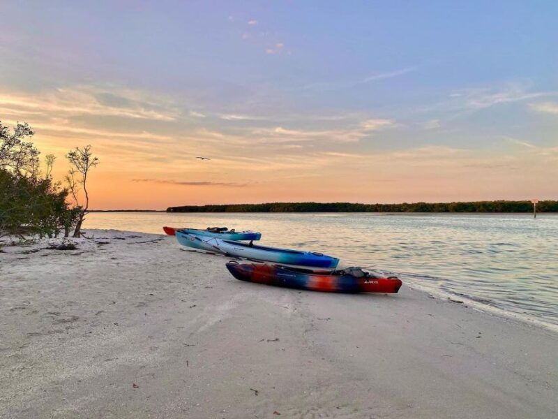 st-petersburg-fl-weedon-island-kayak-tour