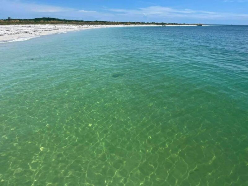 st-petersburg-florida-private-4-hour-beach-tour