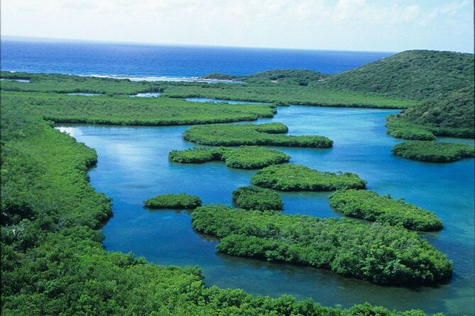 st-thomas-mangrove-lagoon-kayak-and-snorkel-tour-in-the-us-virgin-islands