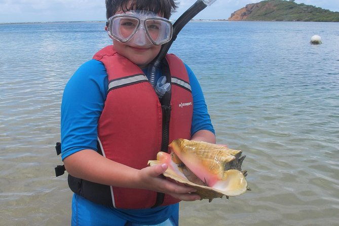 st-thomas-mangrove-lagoon-kayak-and-snorkel-tour-in-the-us-virgin-islands