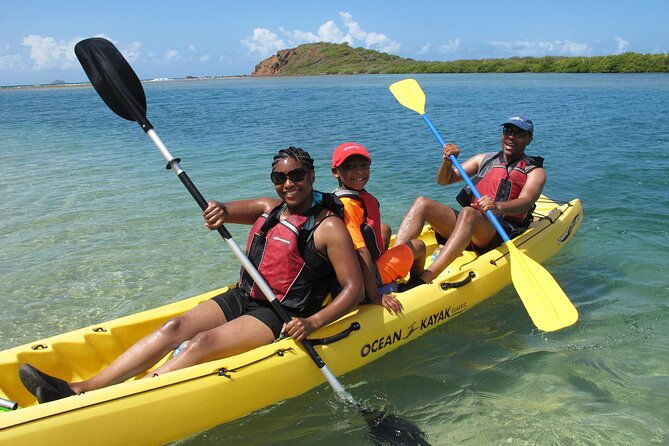 st-thomas-mangrove-lagoon-kayak-and-snorkel-tour-in-the-us-virgin-islands