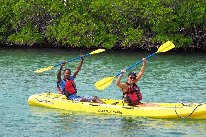 st-thomas-shore-excursion-mangrove-lagoon-kayak-and-snorkel-tour