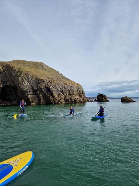 Stackpole Quay: Paddle Boarding Tour - The Equipment and Organization