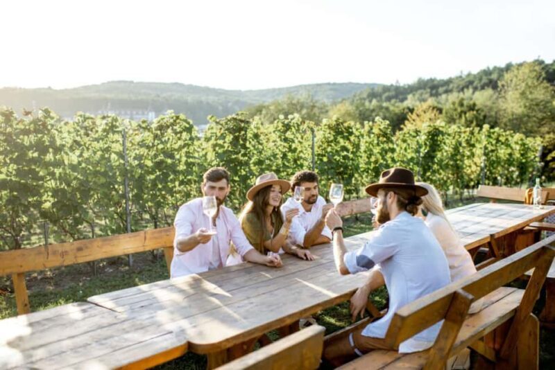 Stancija Collis: A Private Winery adventure in Rovinj - A Closer Look at the Stancija Collis Winery Tour