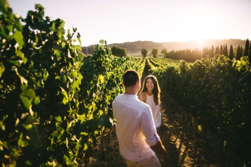 stancija-collis-a-winery-adventure-in-rovinj