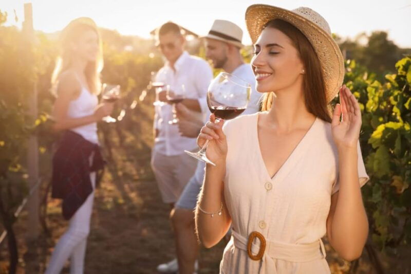 stancija-collis-a-winery-adventure-in-rovinj