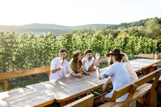 stancija-collis-a-winery-adventure-tour-in-rovinj