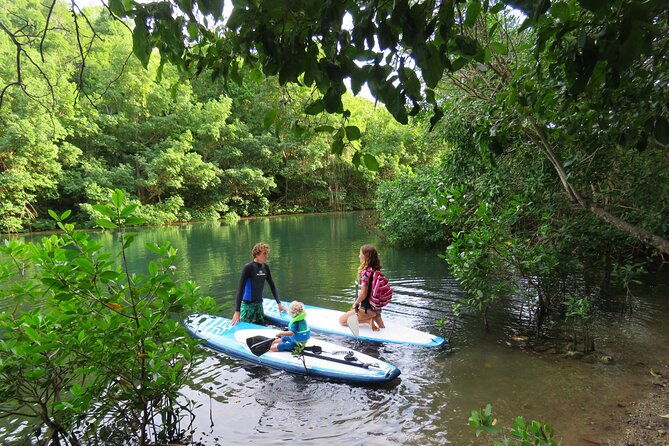 stand-up-paddle-adventure-in-guadeloupe
