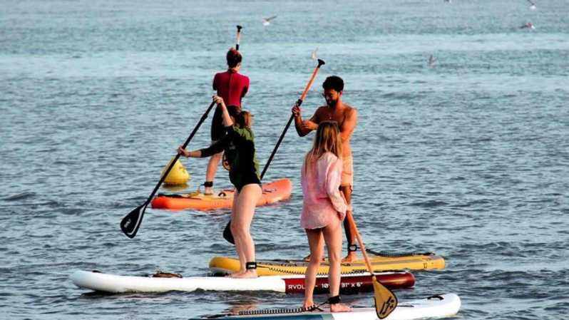stand-up-paddle-and-shopping-cap3000