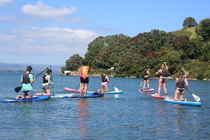Stand Up Paddle Board Adventure in Mount Maunganui - What to Expect from the Mount Maunganui SUP Adventure