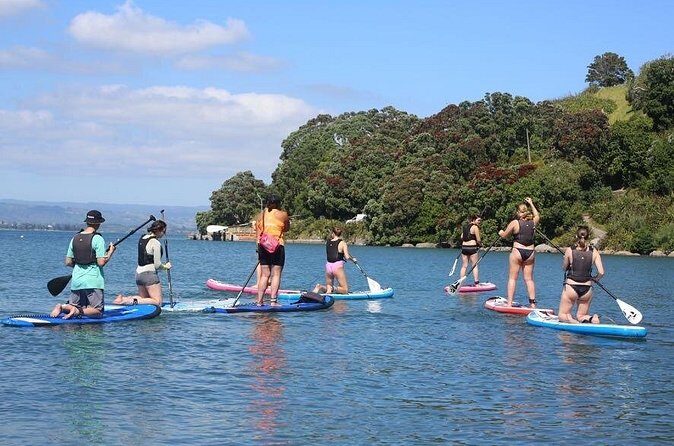 Stand Up Paddle Board Adventure in Mount Maunganui - Practical Details for Travelers