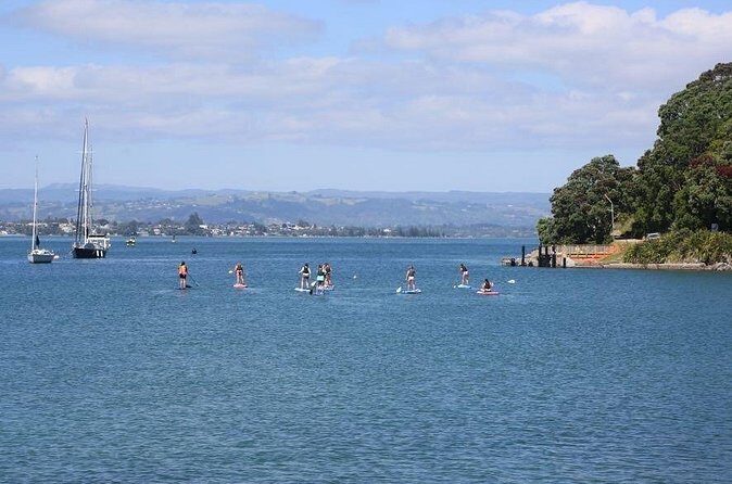 Stand Up Paddle Board Adventure in Mount Maunganui - Final Thoughts: Is This Tour for You?