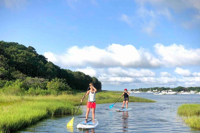 stand-up-paddle-board-ice-cream-boat-adventure