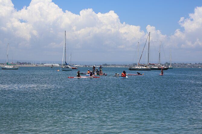 Stand Up Paddle Board Lesson in Mount Maunganui - The Value and Practicalities