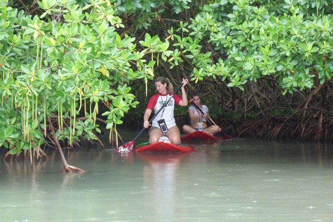 stand-up-paddle-in-paradise