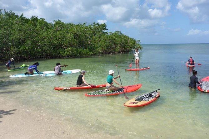 stand-up-paddle-in-paradise