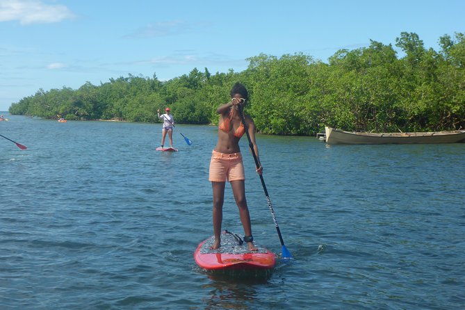 stand-up-paddle-in-paradise