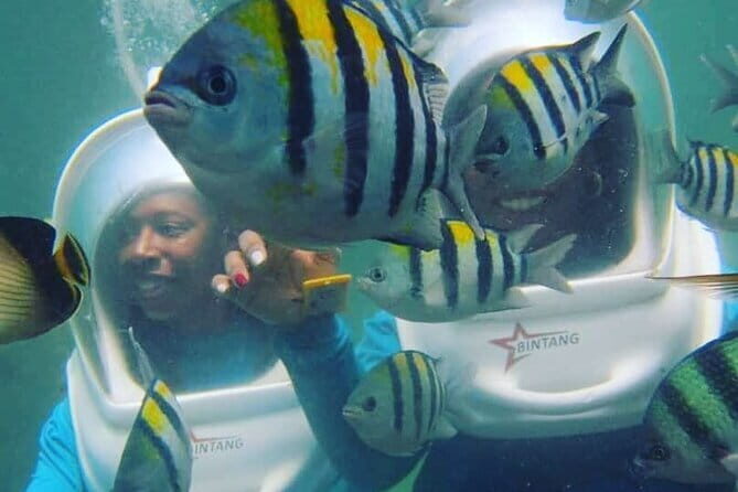 Stand Up Paddle Lesson Bali with Professional Instructor - Is It Worth the Cost?