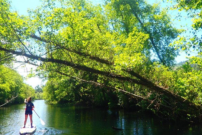 stand-up-paddle-tour-3