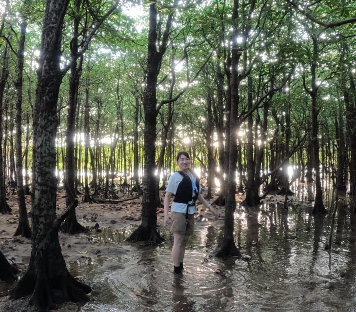 stand-up-paddleboard-amazing-sunrise-at-mangrove-river
