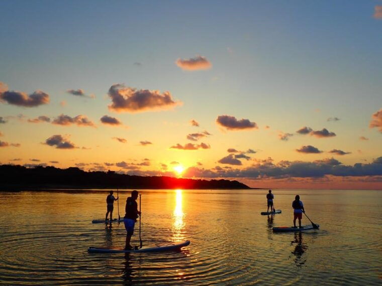 stand-up-paddleboard-amazing-sunrise-at-mangrove-river