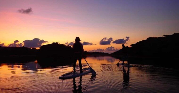 stand-up-paddleboard-amazing-sunrise-at-mangrove-river