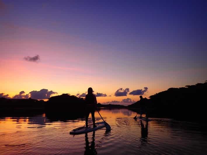 stand-up-paddleboard-amazing-sunrise-at-mangrove-river