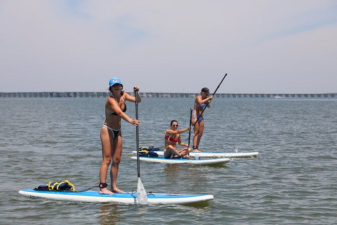 stand-up-paddleboard-rentals-in-ocean-city-md