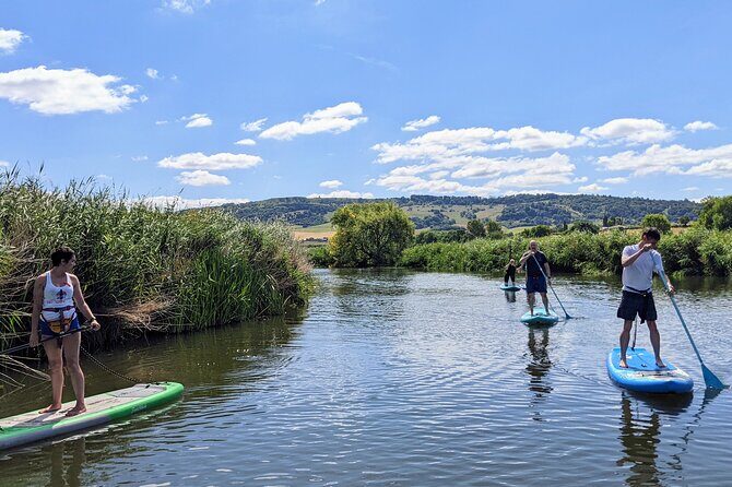 Stand-up Paddleboard SUP Safari on The River Avon For Beginners - The Experience: A Closer Look