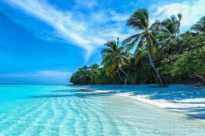 standard-and-premium-transfer-from-punta-cana-airport-to-las-terrenas